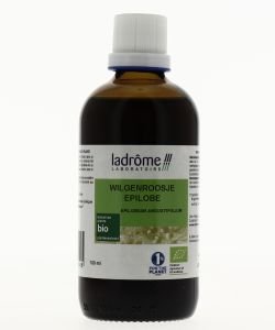 Epilobe - extrait de plante fraîche